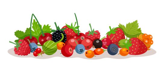 Predaj domáce ovocné a bylinkové sirupy a iné produkty